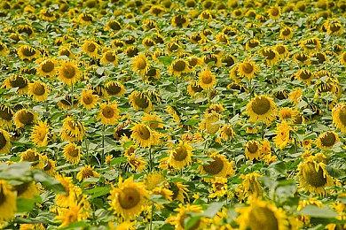 类银河恶魔城射击游戏《魔骑少女》现已正式上市